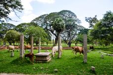 阿努拉德普勒-阿努拉德普勒-尊敬的会员