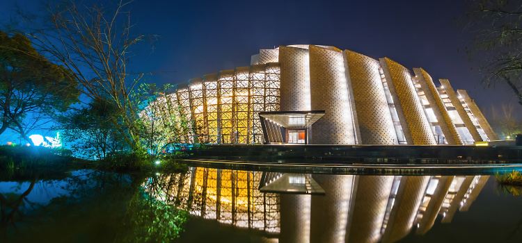 Resultado de imagem para Wuzhen Grand Theatre