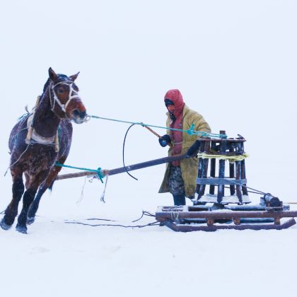 长春+查干湖景区+伪满皇宫博物院3日2晚私家团