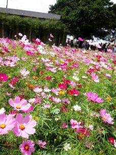 华发水郡省级湿地公园-珠海-_CFT01****0327328