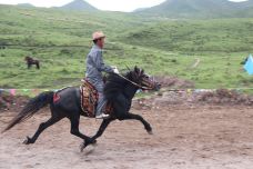 天堂寺-天祝-YoYo_0Z8Y3W8A