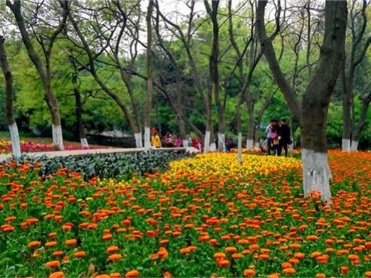 成都植物园