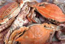 展鹏海鲜大排档美食图片