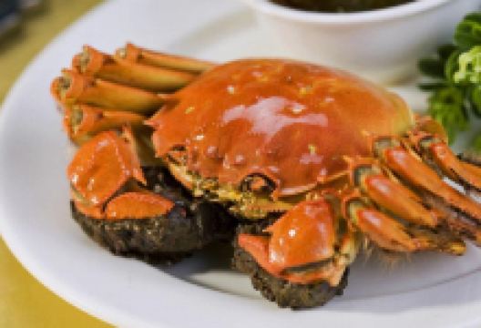 中惠渔村酒店(日照万平口海滨风景区店)美食图片