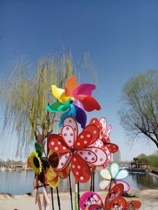 水上公园-石家庄-YoYo_8Y0F1B3Z