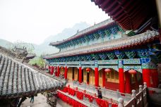 万善寺-修武-doris圈圈