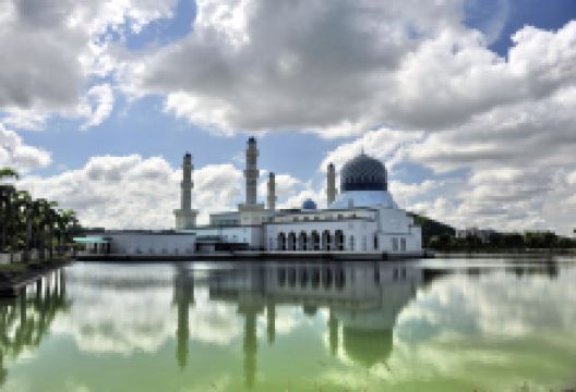 万劳旅游图片-龙尾湾红树林看萤火虫一日游，还有比这更浪漫的嘛！