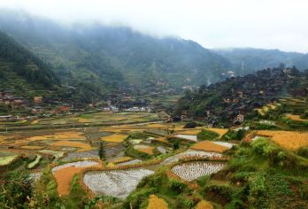 贵州西江千户苗寨一日【一价全含丨含午餐丨含小交通丨长桌宴】【保证纯玩、行程无购物安排、游览时间充足。】