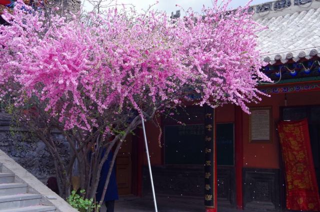Nanchan (Southern Zen) Temple