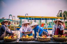 会安古城-会安-doris圈圈