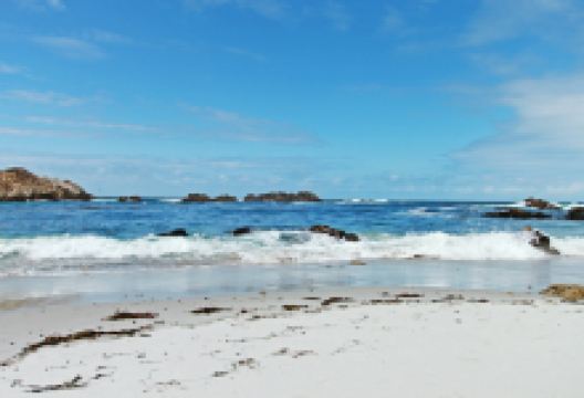 扬旅游图片-美国西海岸自驾14日深度游