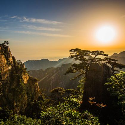 黄山+千岛湖景区+宏村景区+西递+婺源+九华山风景区8日7晚跟团游