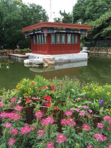 万寿公园-北京-都市贝贝