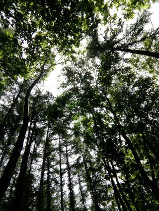 河南栾川，中原腹地的明珠