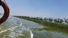 南大港湿地-黄骅-平安