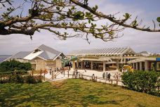冲绳美丽海水族馆-本部町-尊敬的会员