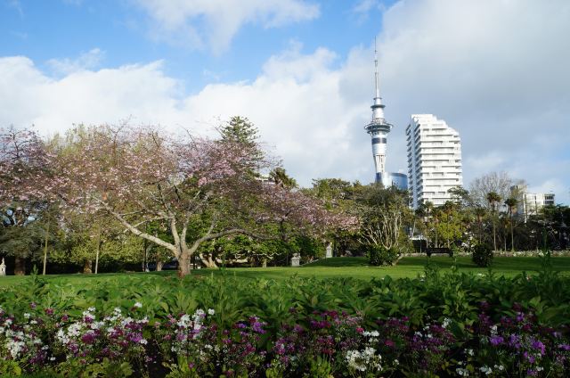 Auckland Domain