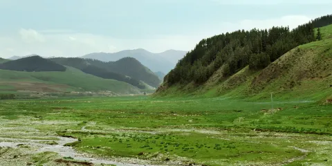 石門溝草原公園