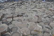 巨人之路-布什米尔斯-尊敬的会员