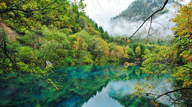 6-Day Small Group Sichuan Tour·Pandas, Jiuzhaigou & Huanglong with Butler Service, Free Day in Chengdu | 5-Star Hotels