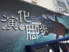 台湾海洋生物博物馆-屏东-尊敬的会员