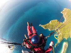 马尔马里斯-马米勒斯-尊敬的会员