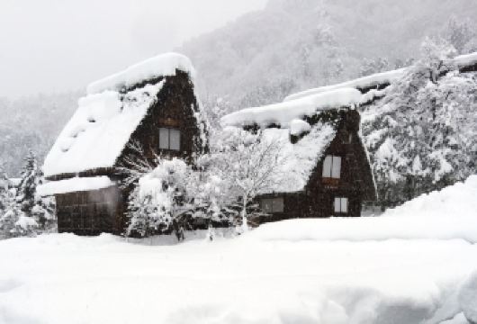 日本名古屋+高山市+白川乡+高山阵屋+宫川朝市一日游【中文】【根据您的需求设计路线，定制出行。】
