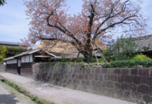 武家屋敷景点图片