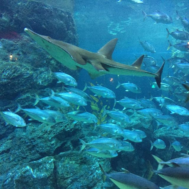 Sea Life Bangkok Ocean World