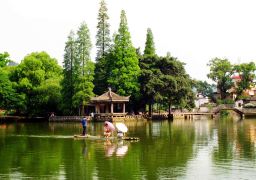 travel picture