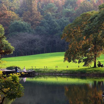 杭州西湖风景名胜区+杭州龙坞茶村+杭州野生动物世界+浙江西湖美术馆2日1晚私家团