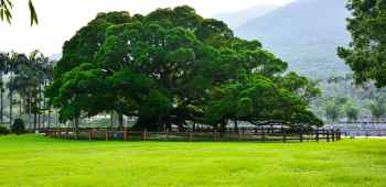 福州+福州云顶3日2晚私家团·[旅博会热卖\/特