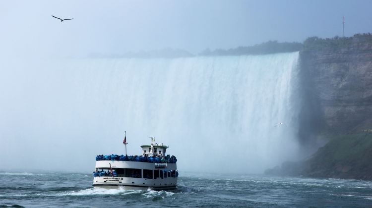 4-Day Tour·Washington D.C., Niagara Falls, Virginia and Shenandoah National Park