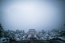 中山陵景区-南京-尊敬的会员