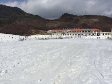 神农架-小兔子熹