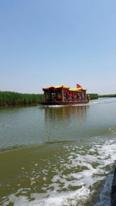 南大港湿地-黄骅-平安