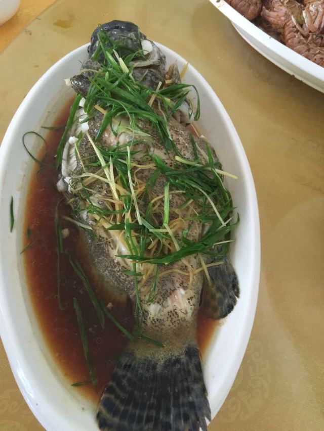 閘坡大角灣