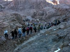 西奈山-Qesm Saint Katrin-尊敬的会员