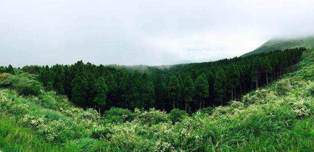 아소 산