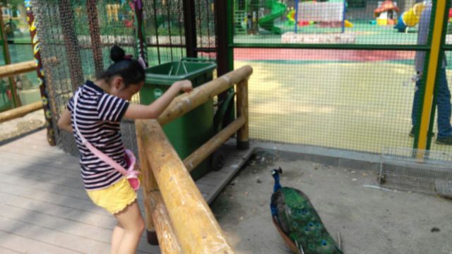Beijing Zoo