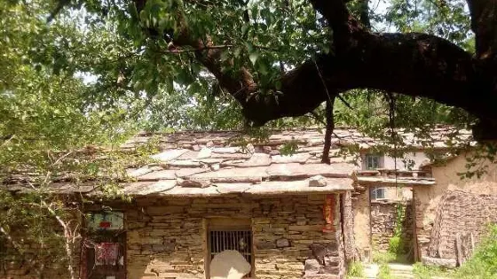 香木河自然保護區