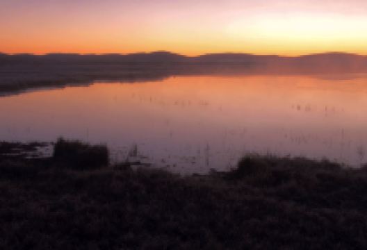 围场旅游图片-草原风情一日游