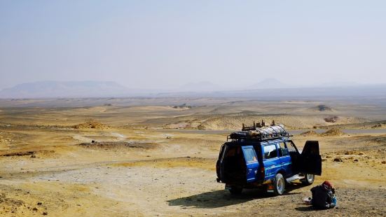 Safari Tour