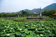 南普陀寺-厦门-doris圈圈