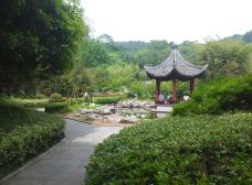 野芳园-滁州-_CFT01****0682824