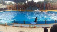 南宁动物园-南宁-YoYo_6Z6X5K4D