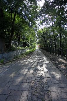 佘山国家森林公园-上海-东西南北游