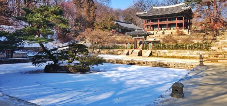 Changdeokgung Palace Travel Guidebook Must Visit Attractions In