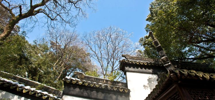 Tiger Hill Tickets Deals Reviews Family Holidays Tripcom - 