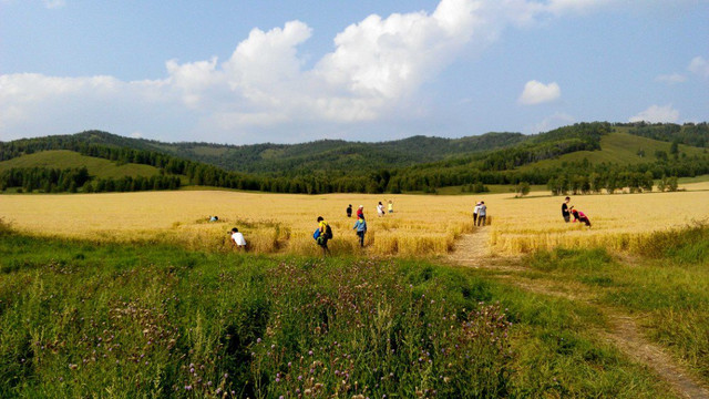 呼伦贝尔旅游包车